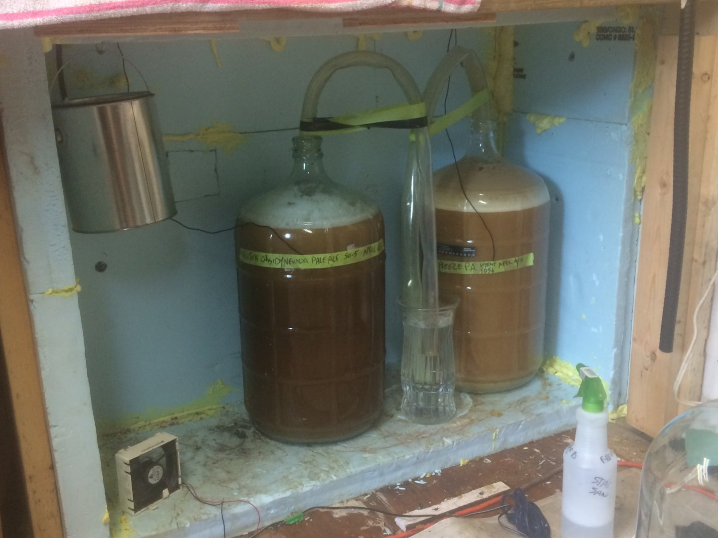 Butch April6-2018 (11).jpg