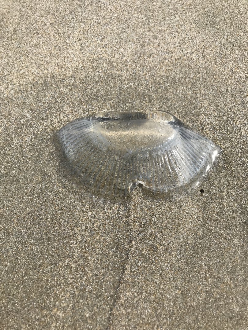 F0537397-6EDA-41AC-BB47-DC80F47734BF.jpeg