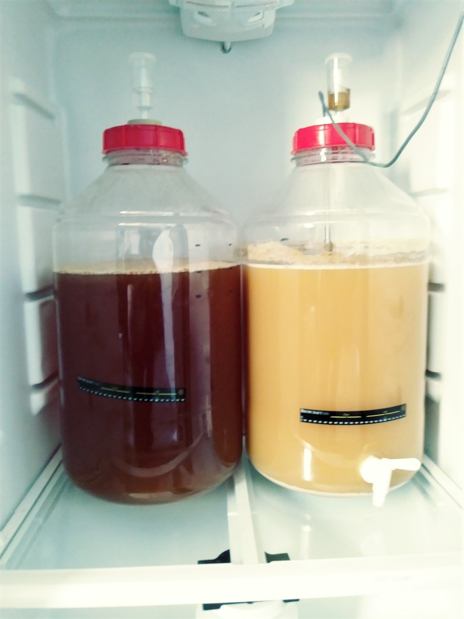Fermenting.jpg