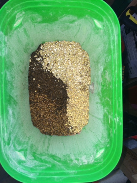 grain.jpg