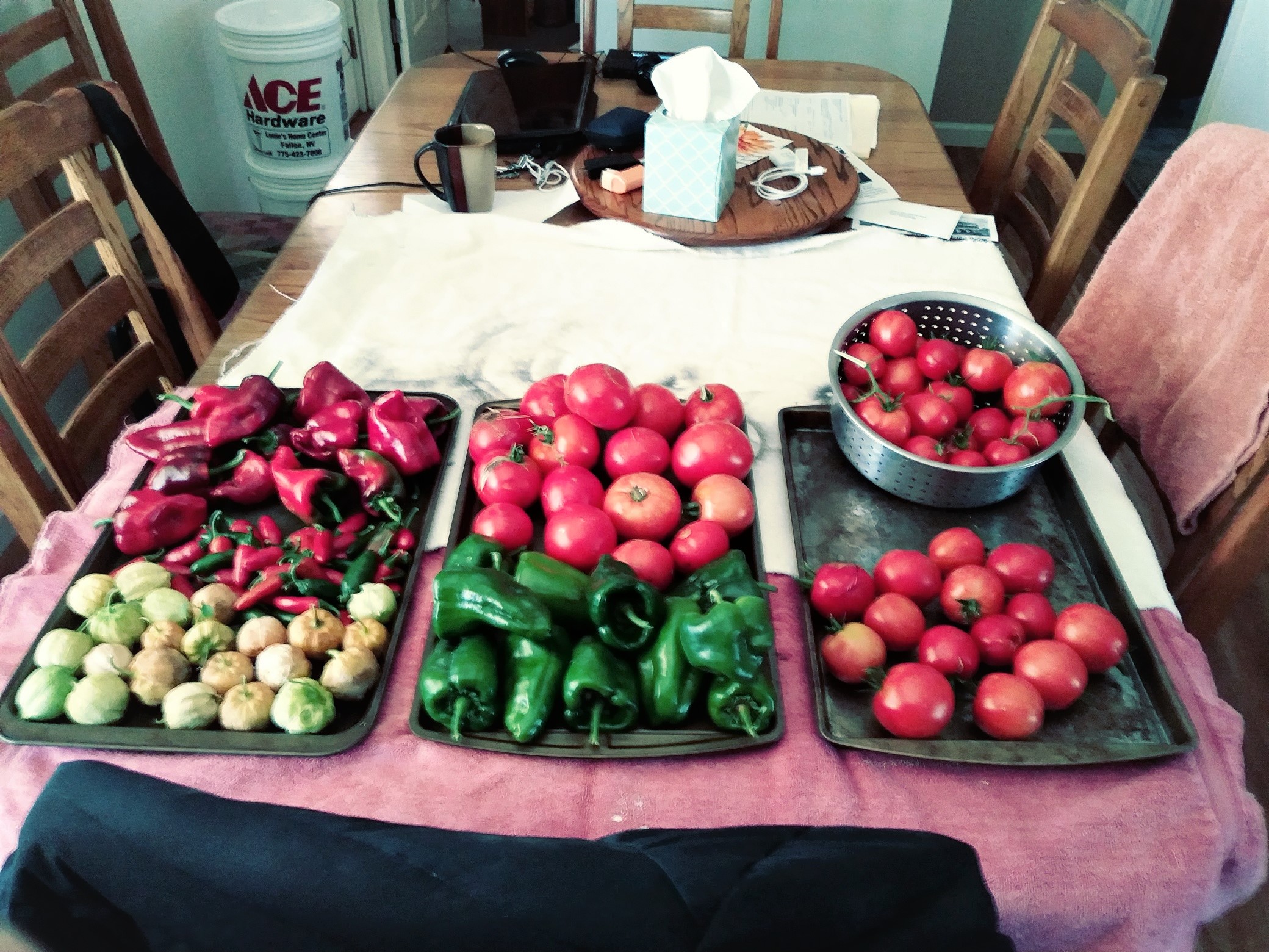 Harvest.jpg