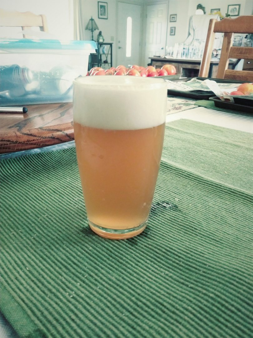Hop Blonde Ale.jpg