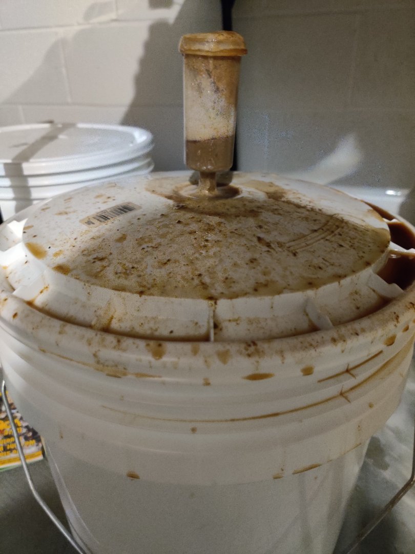 IMG_20200902_181817.jpg IMG_20200902_181817.jpg