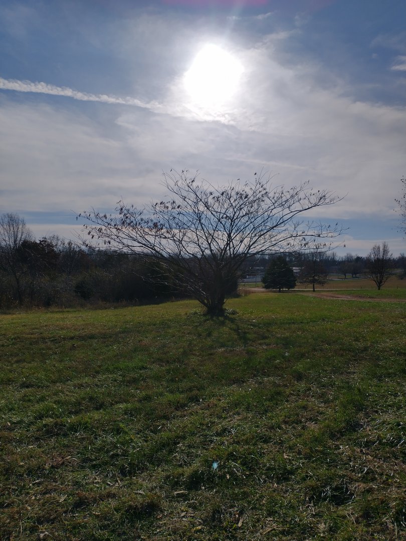 IMG_20201119_095046075_HDR.jpg