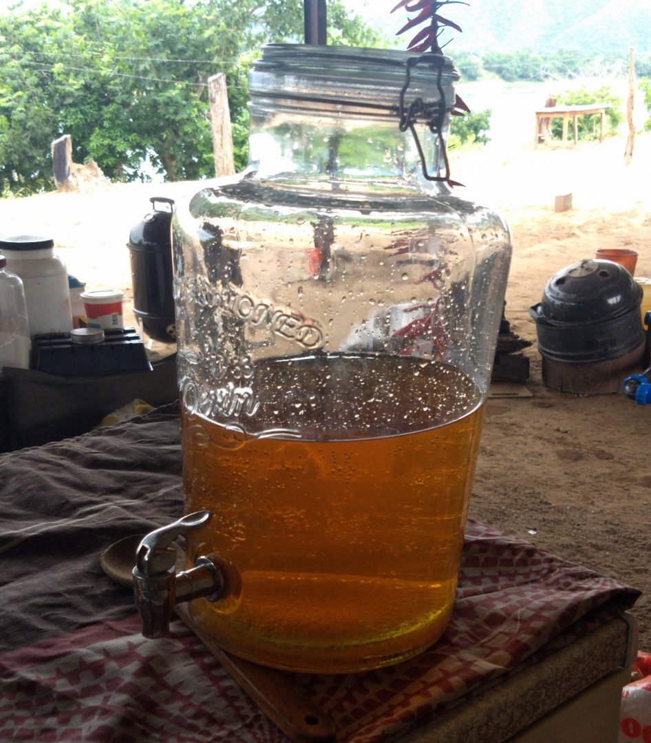 IMG_20210213_132155.jpg