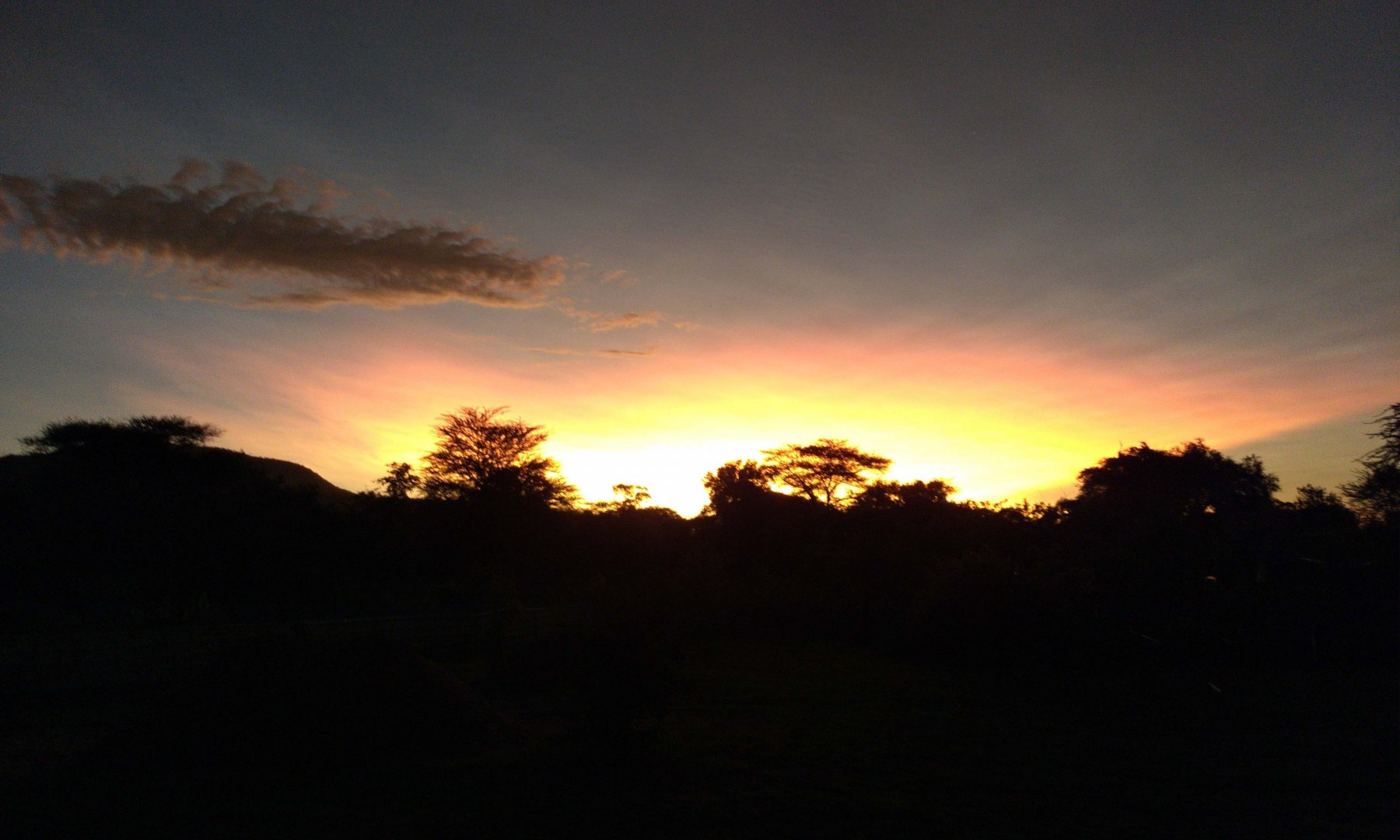 IMG_20220121_190939.jpg