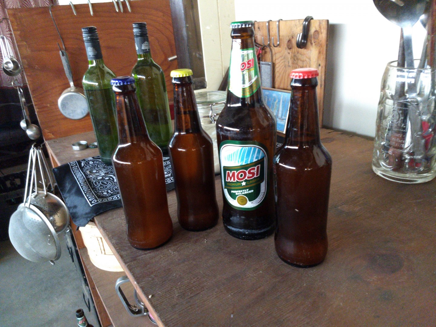 IMG_20220819_172012.jpg