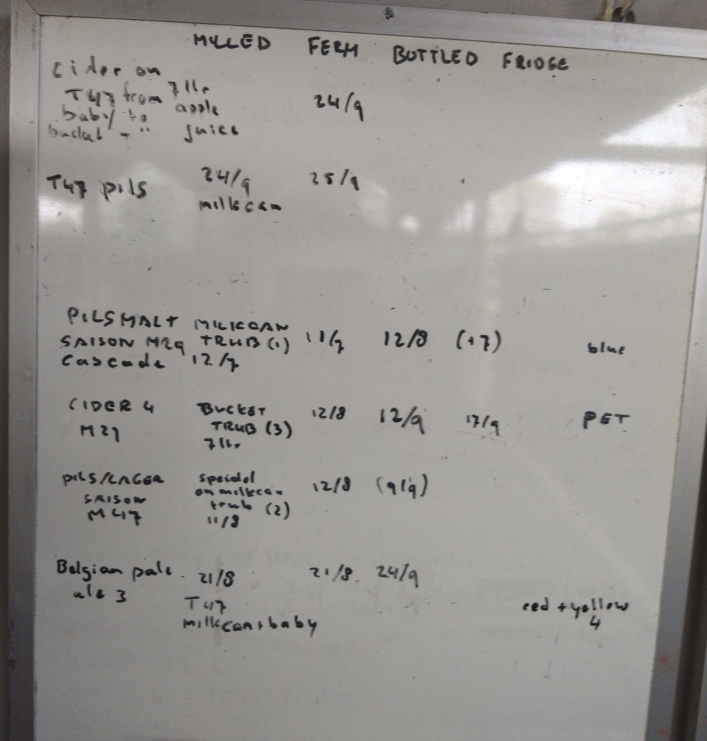 IMG_20220929_084236.jpg