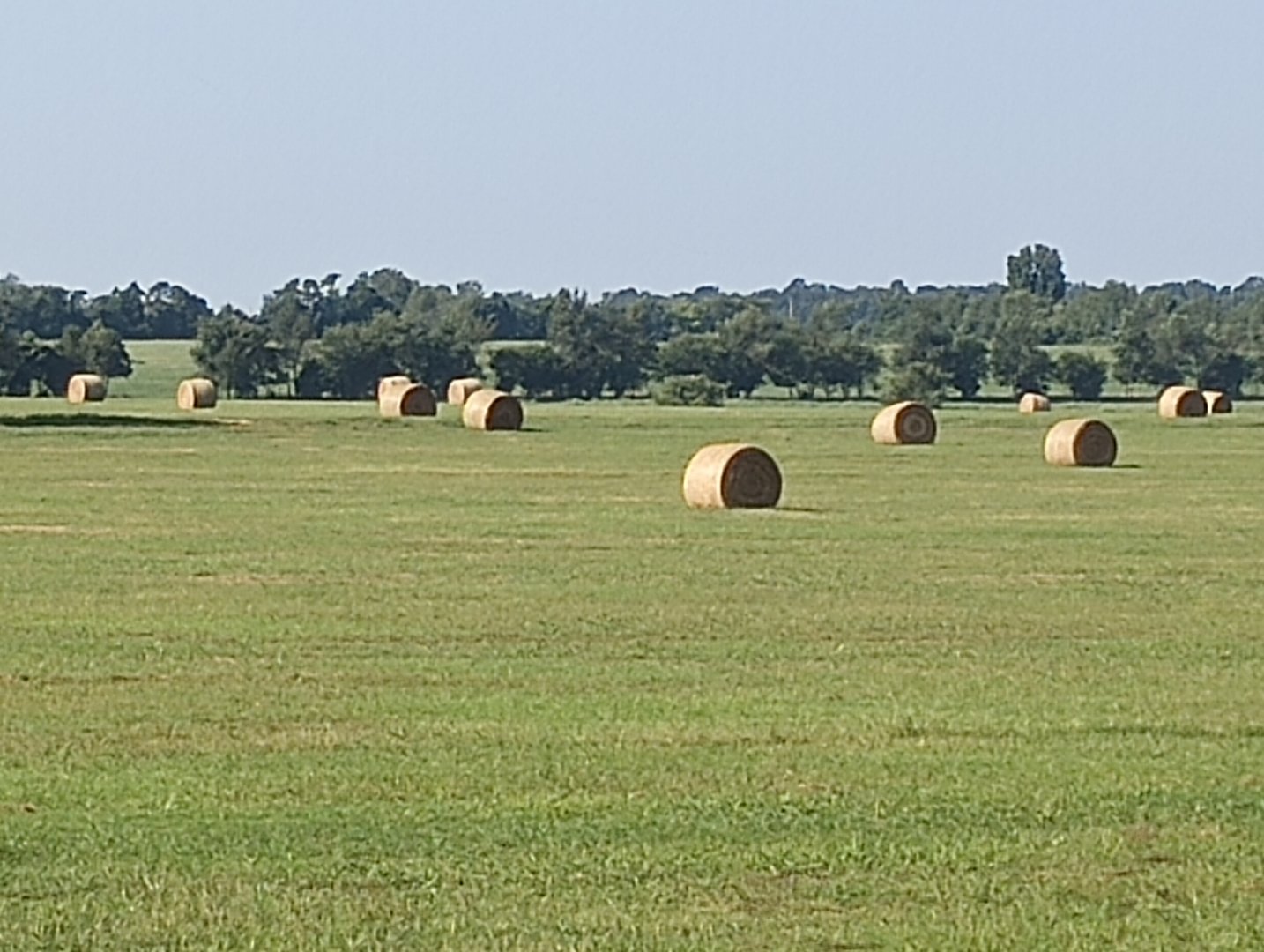IMG_20230830_093559726.jpg