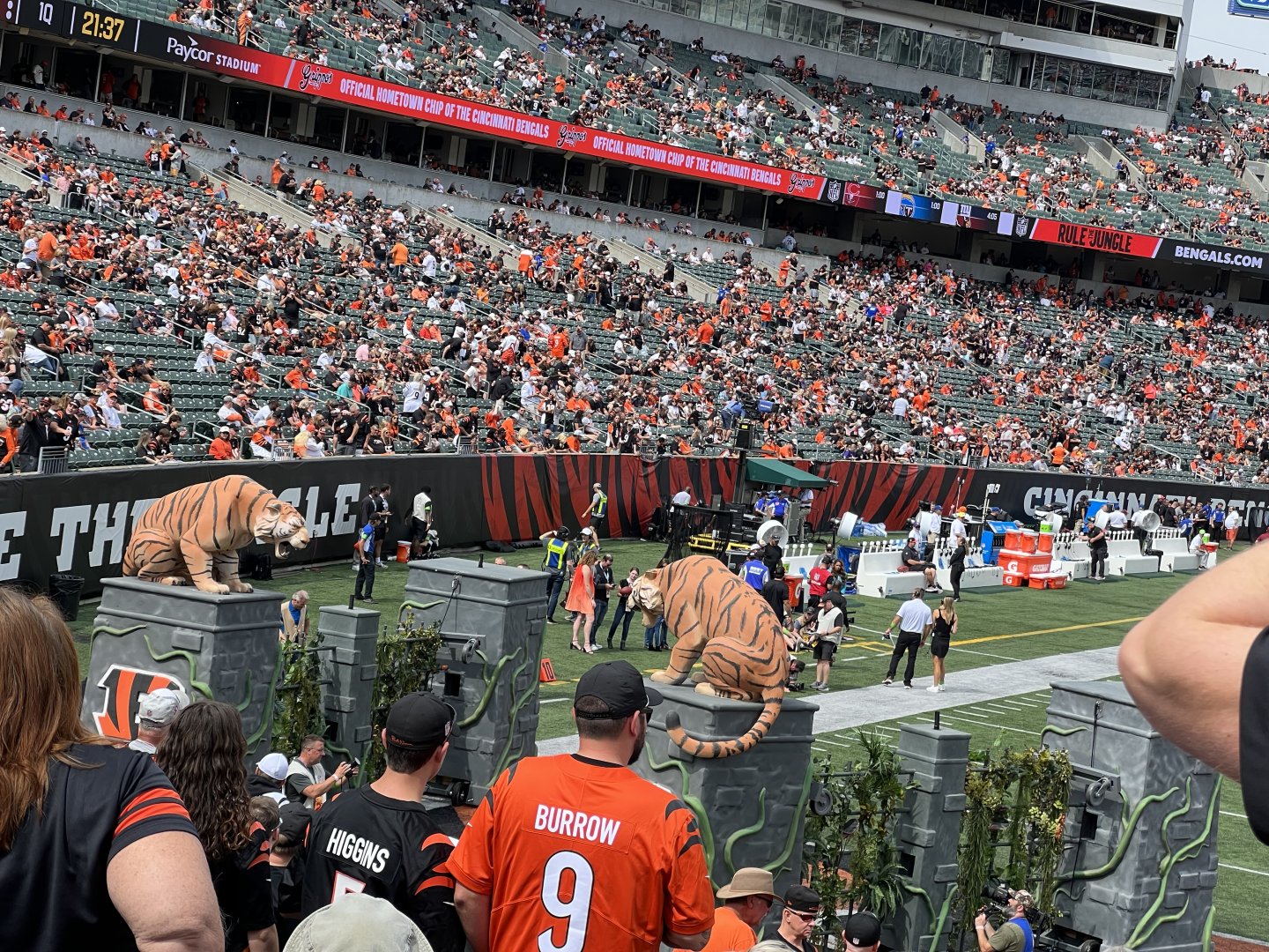 IMG_5682.jpeg