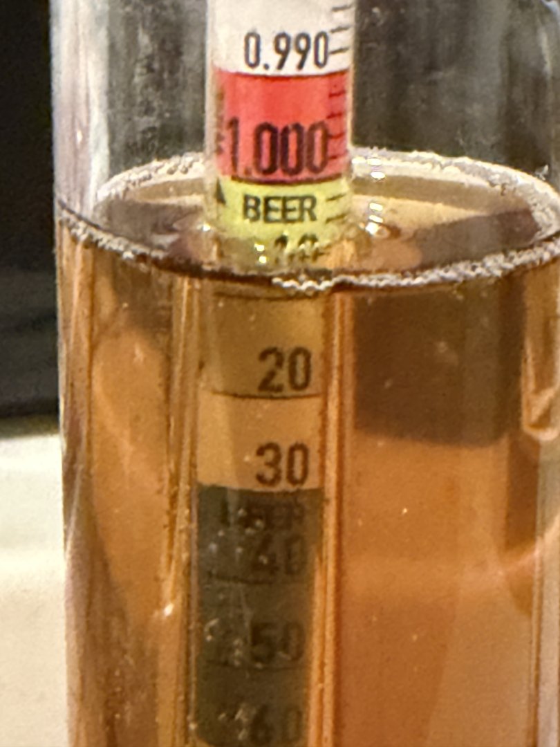 Irish Red #2 after conditioning 2-22-26.jpeg