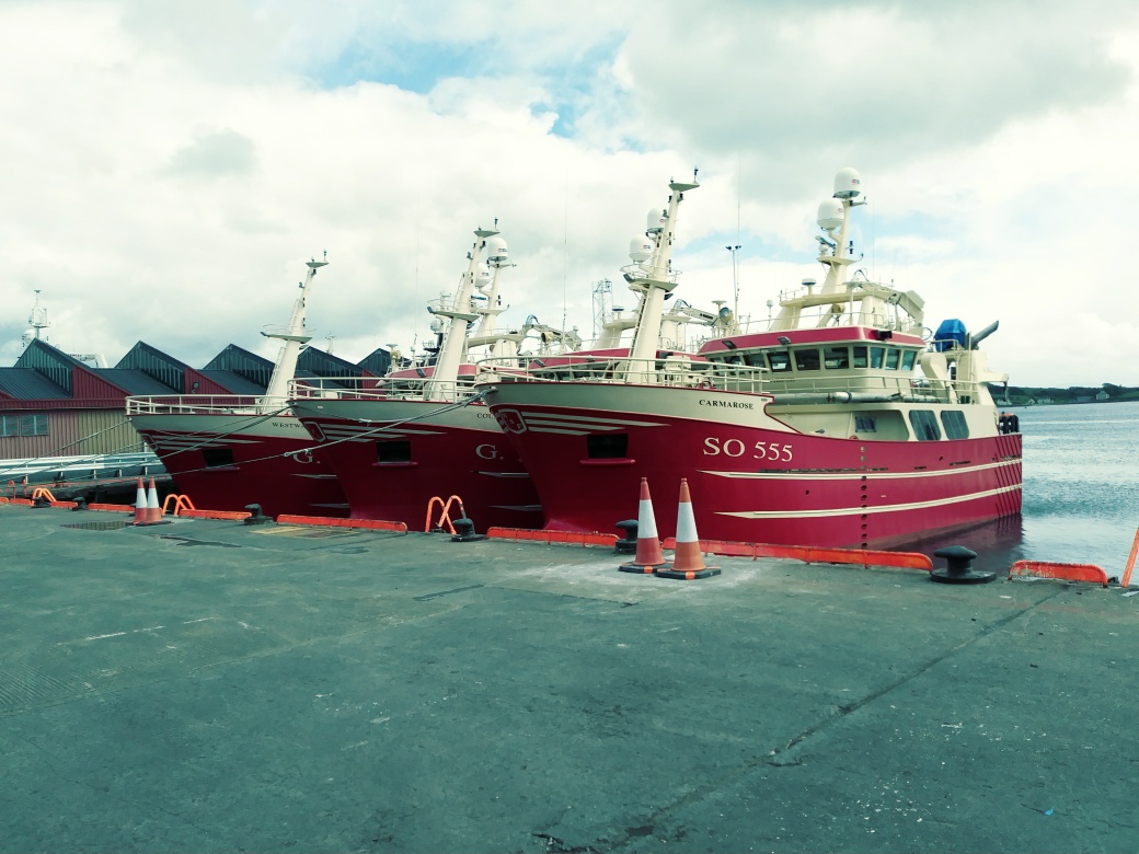 Killybegs Harbor.jpg