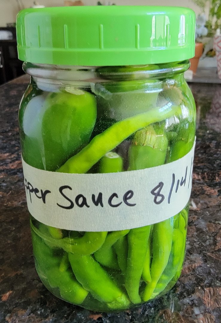 Lactic Pepper Sauce.jpg