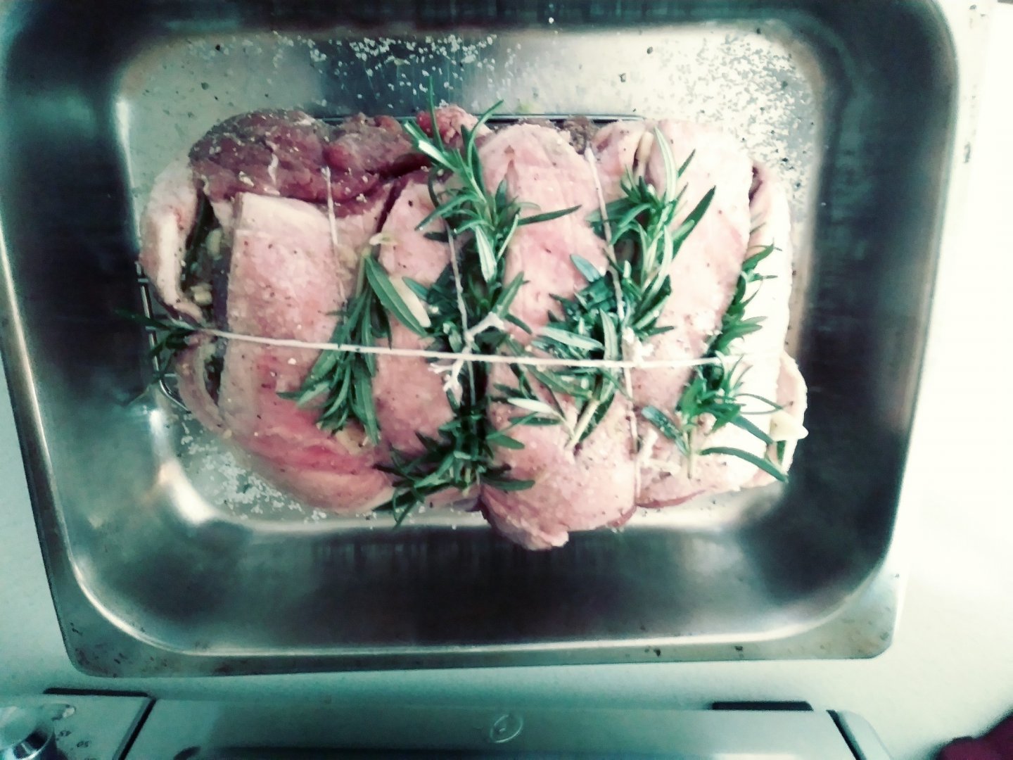 Lamb.jpg