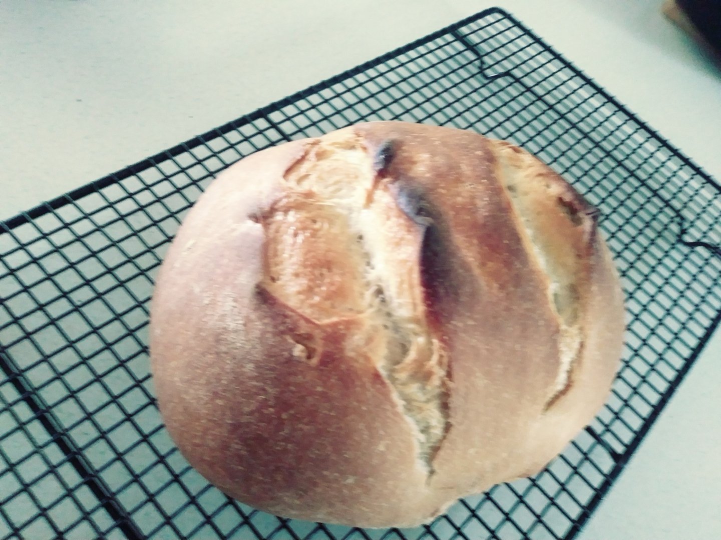 Loaf.jpg