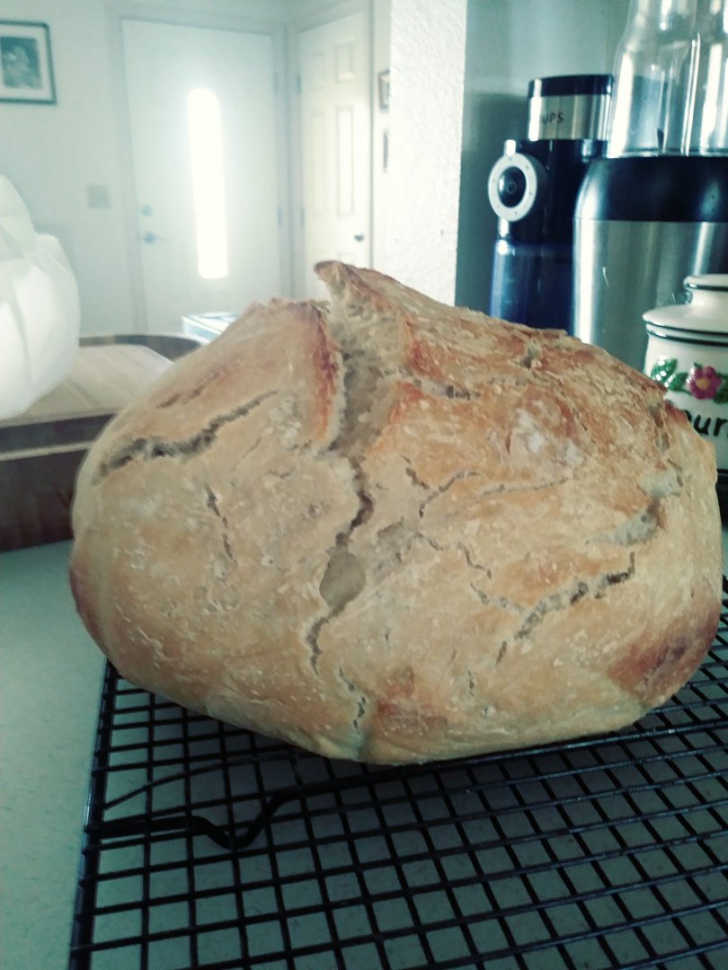 Loaf.jpg