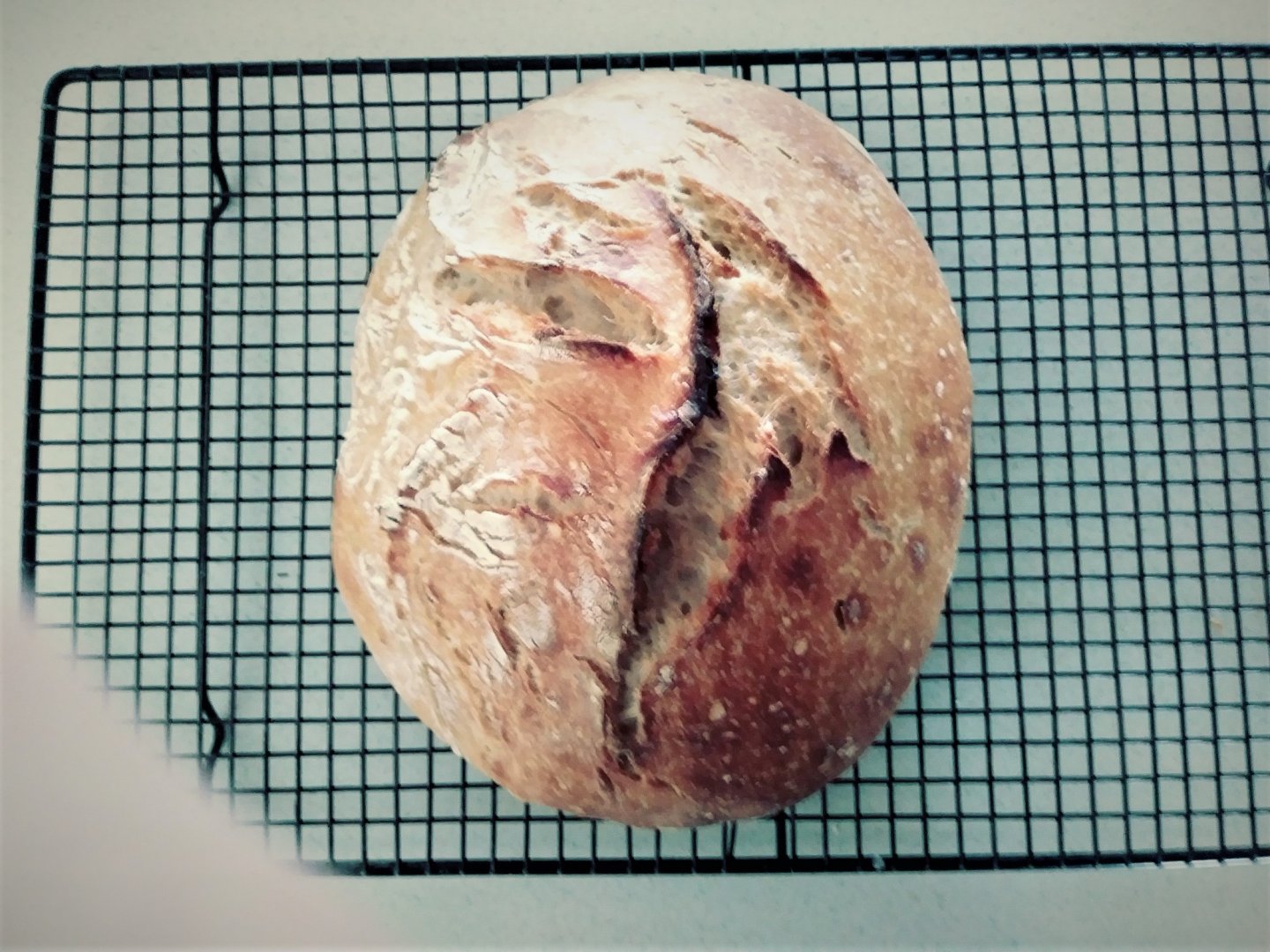 Loaf.jpg