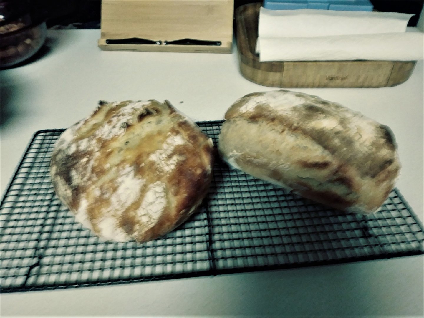 Loaves.jpg