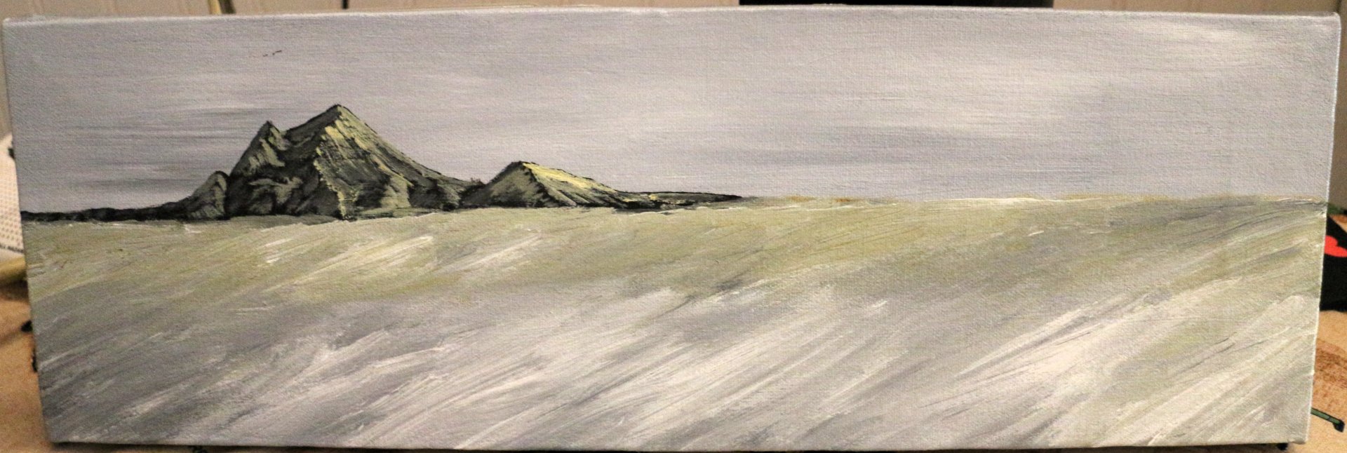 Misty Fields.JPG