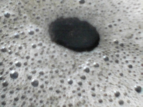 MyDSC21-093e.jpg