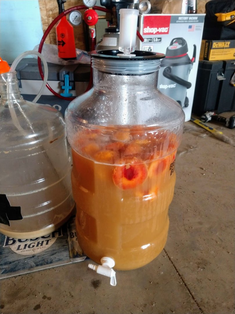 peach pilsner.jpg