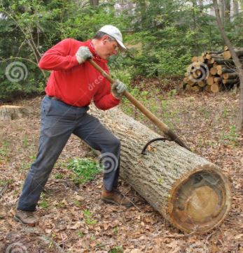 Peavy.JPG