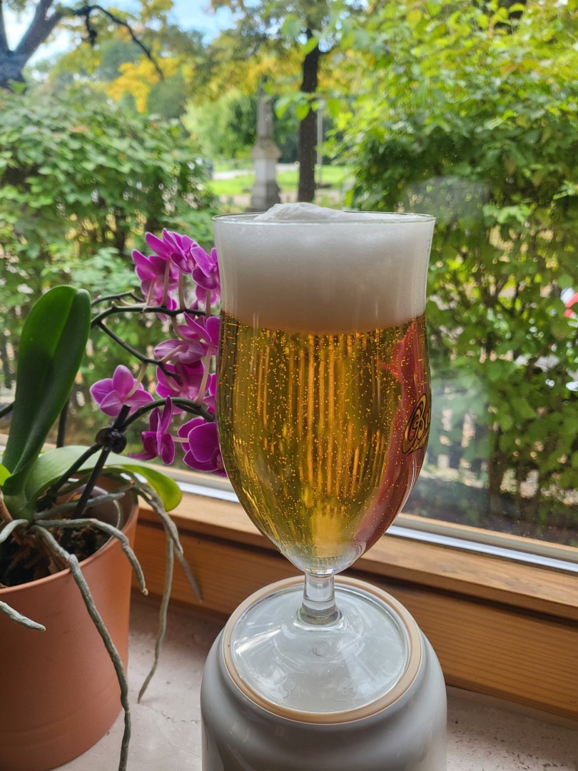 Pils1_1.jpg