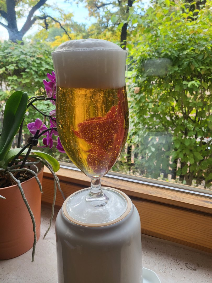 Pils1_2.jpg