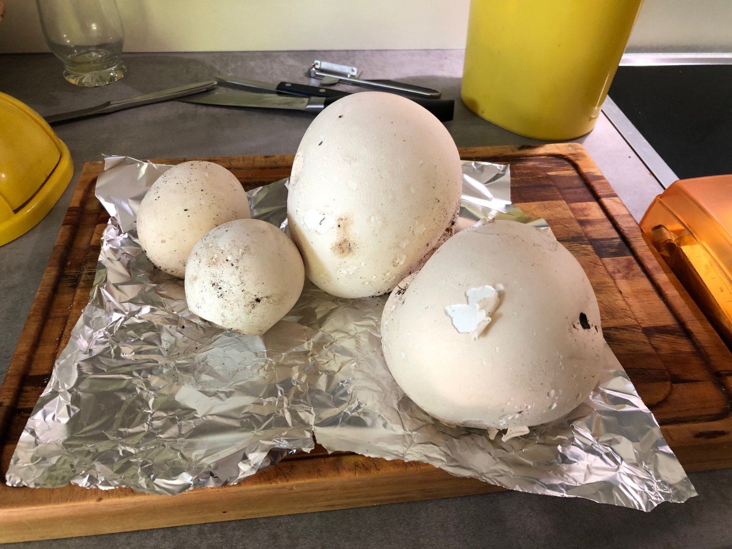 Puffballs1.jpg