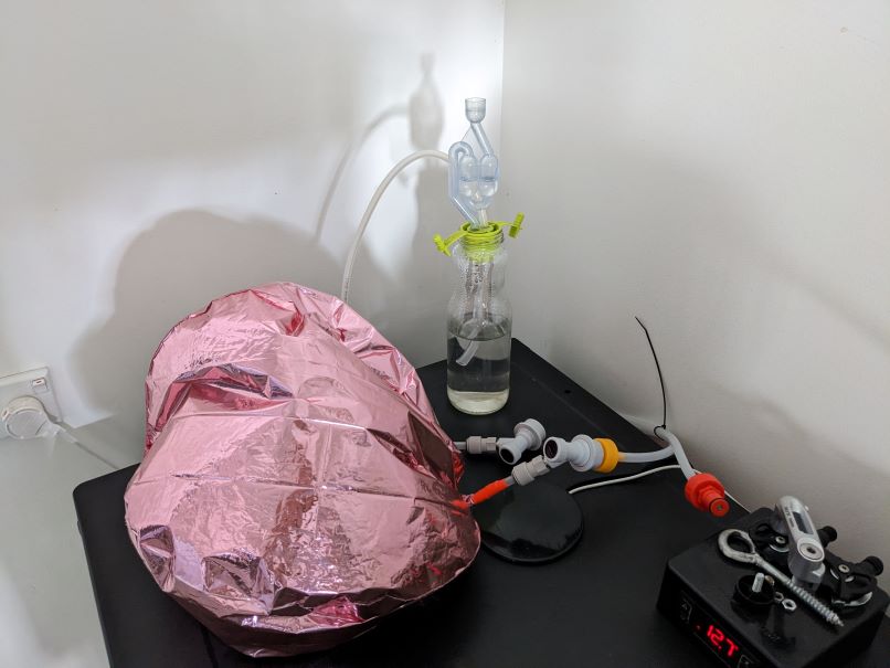 PXL_20230316_223512735.jpg