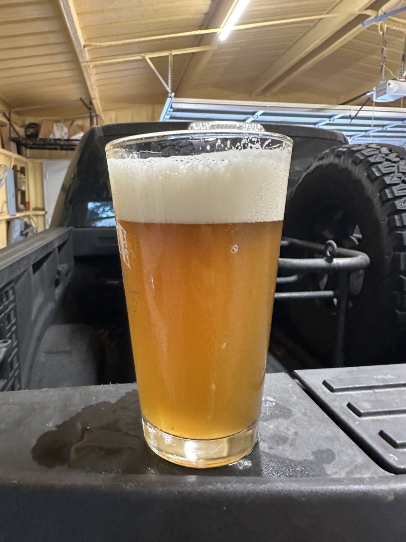 Rye_pils.jpeg