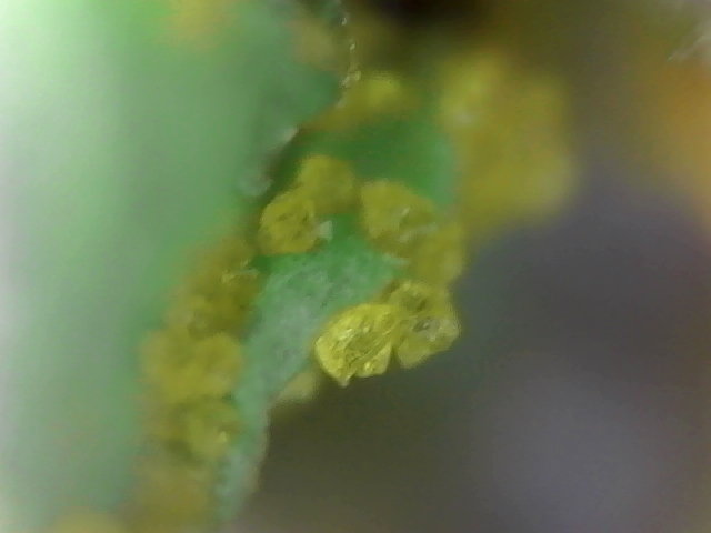 S20200830_0004.jpg