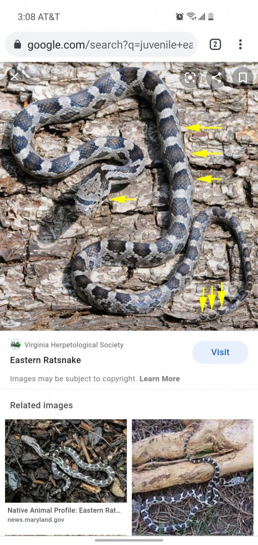 Screenshot_20210522-150838_Chrome.jpg