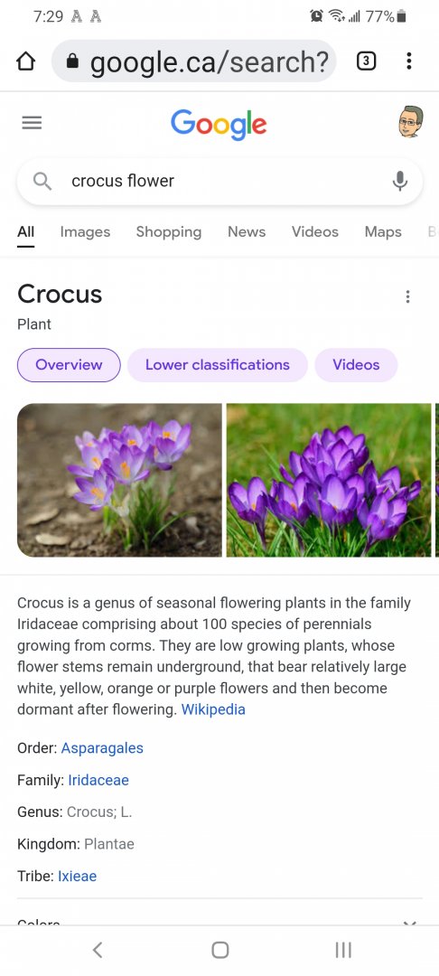Screenshot_20220317-192951_Chrome.jpg