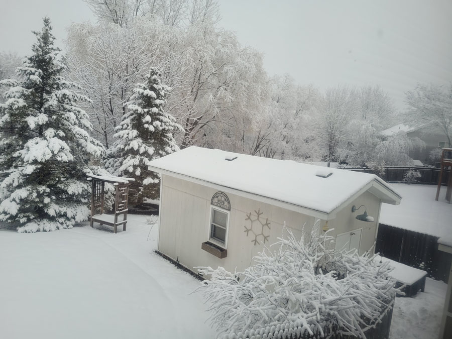 snow.jpg