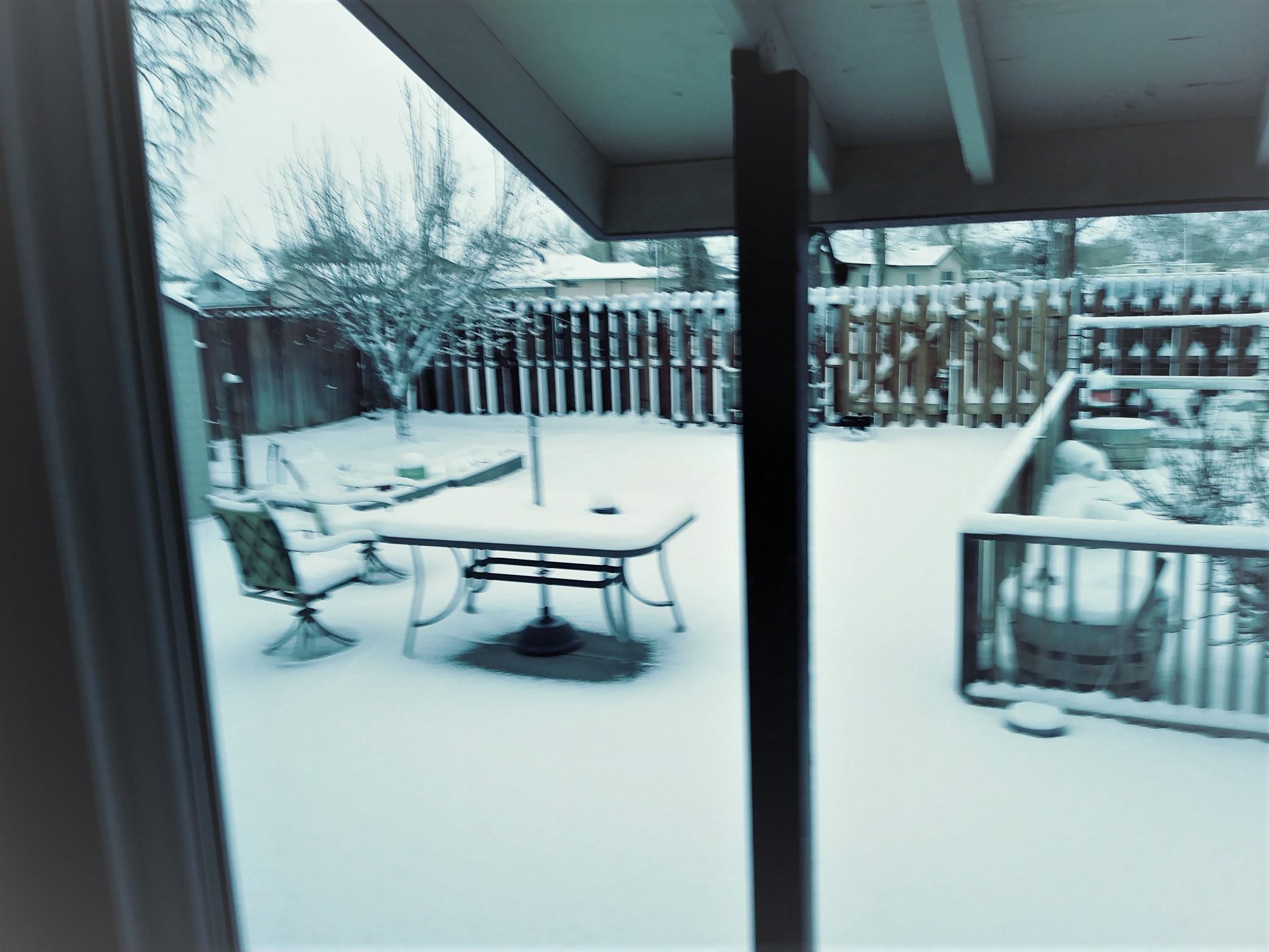 Snow.jpg