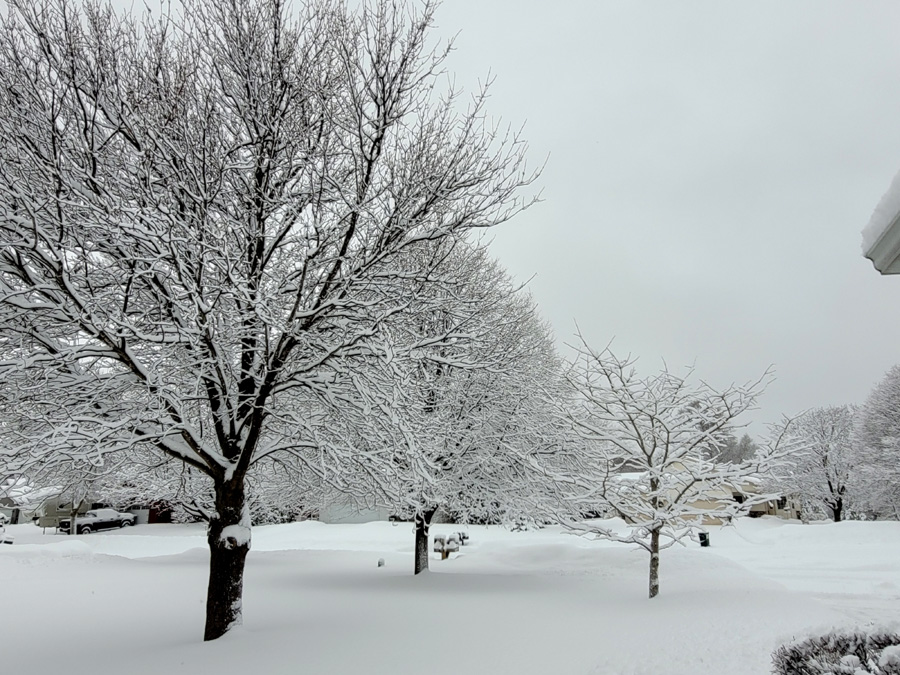 snow2.jpg