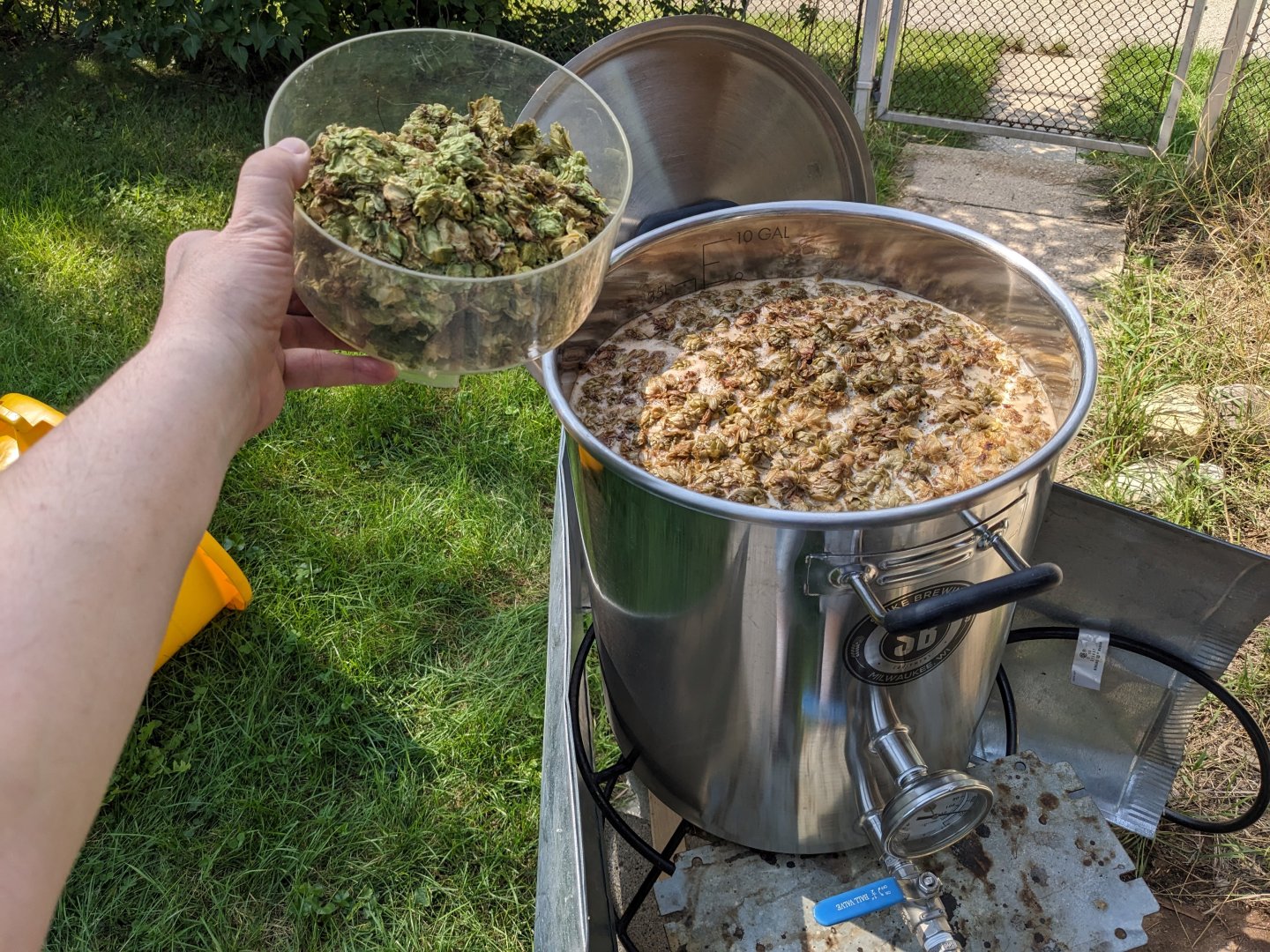 Tim's Brown Ale hop addition.jpg