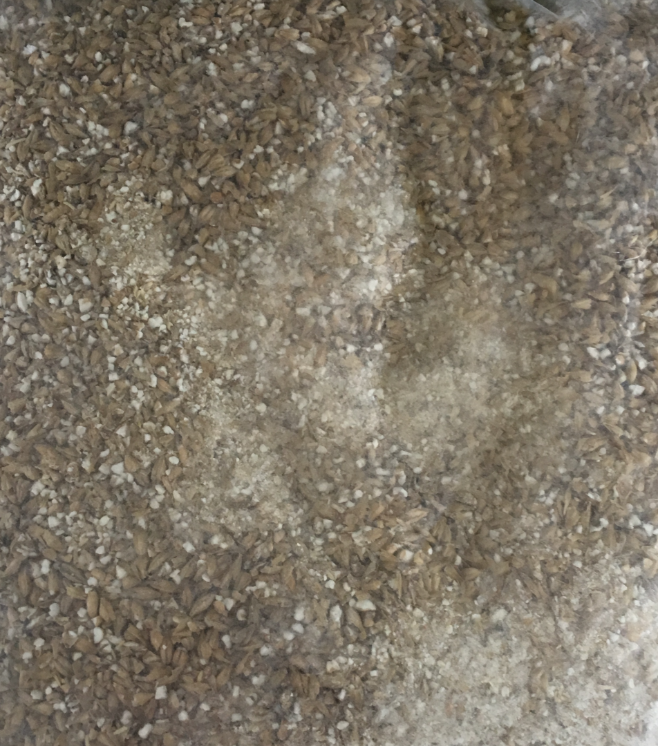 upload_2019-7-28_20-29-51.png