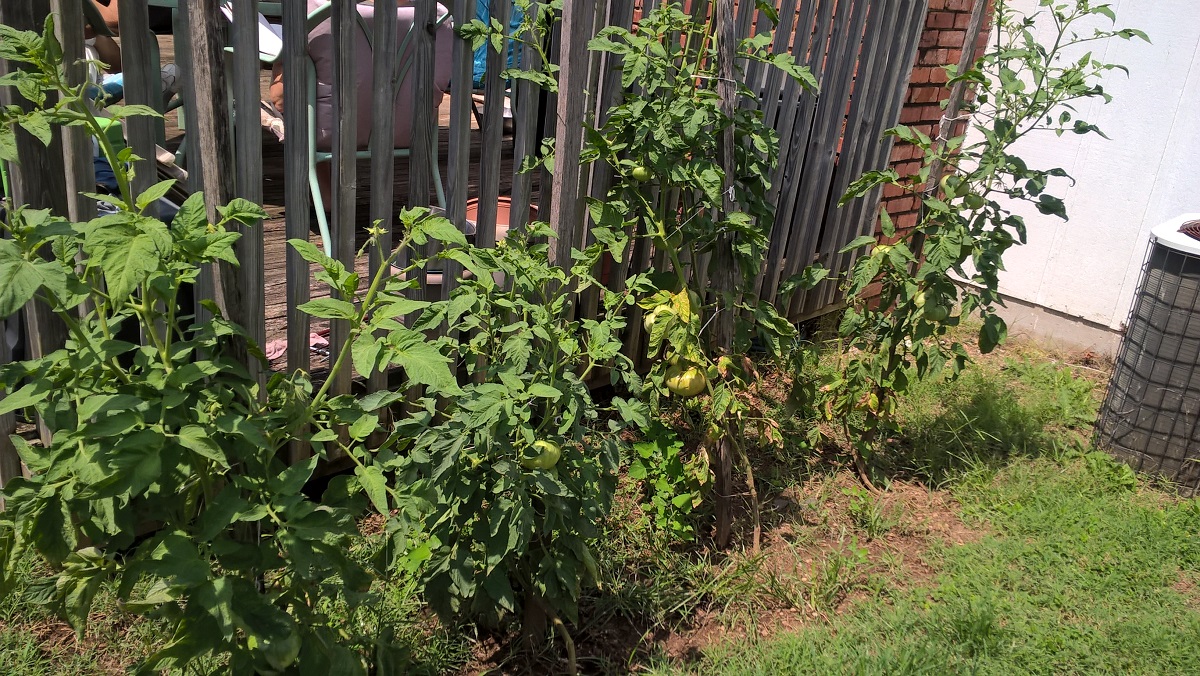 WP_20170808_12_16_27_Pro.jpg