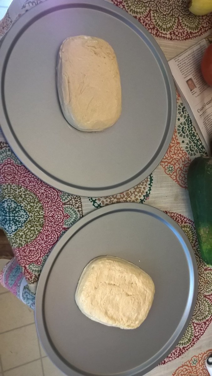 WP_20180727_16_21_24_Pro.jpg