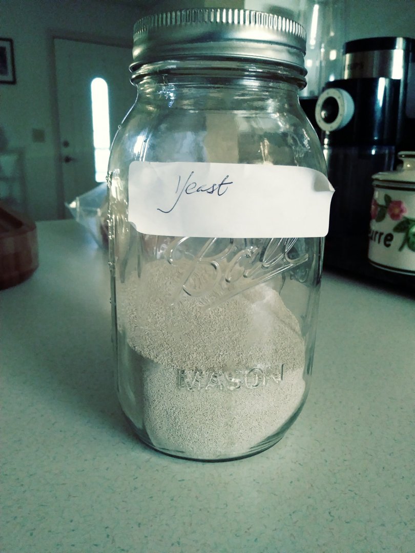 Yeast.jpg