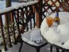 Snow & Beer.jpg