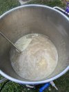 IMG_5392.jpeg