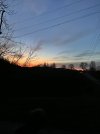 IMG_5424.jpeg