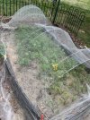 IMG_0679.jpeg