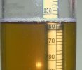 Super Clear Beer! (2 hot breaks).jpeg