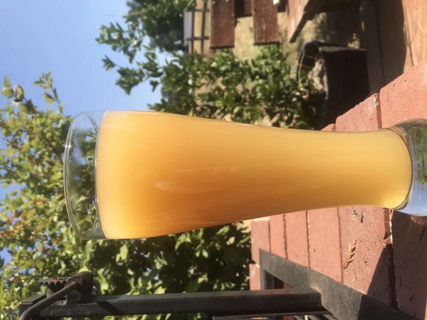 beer recipe photo