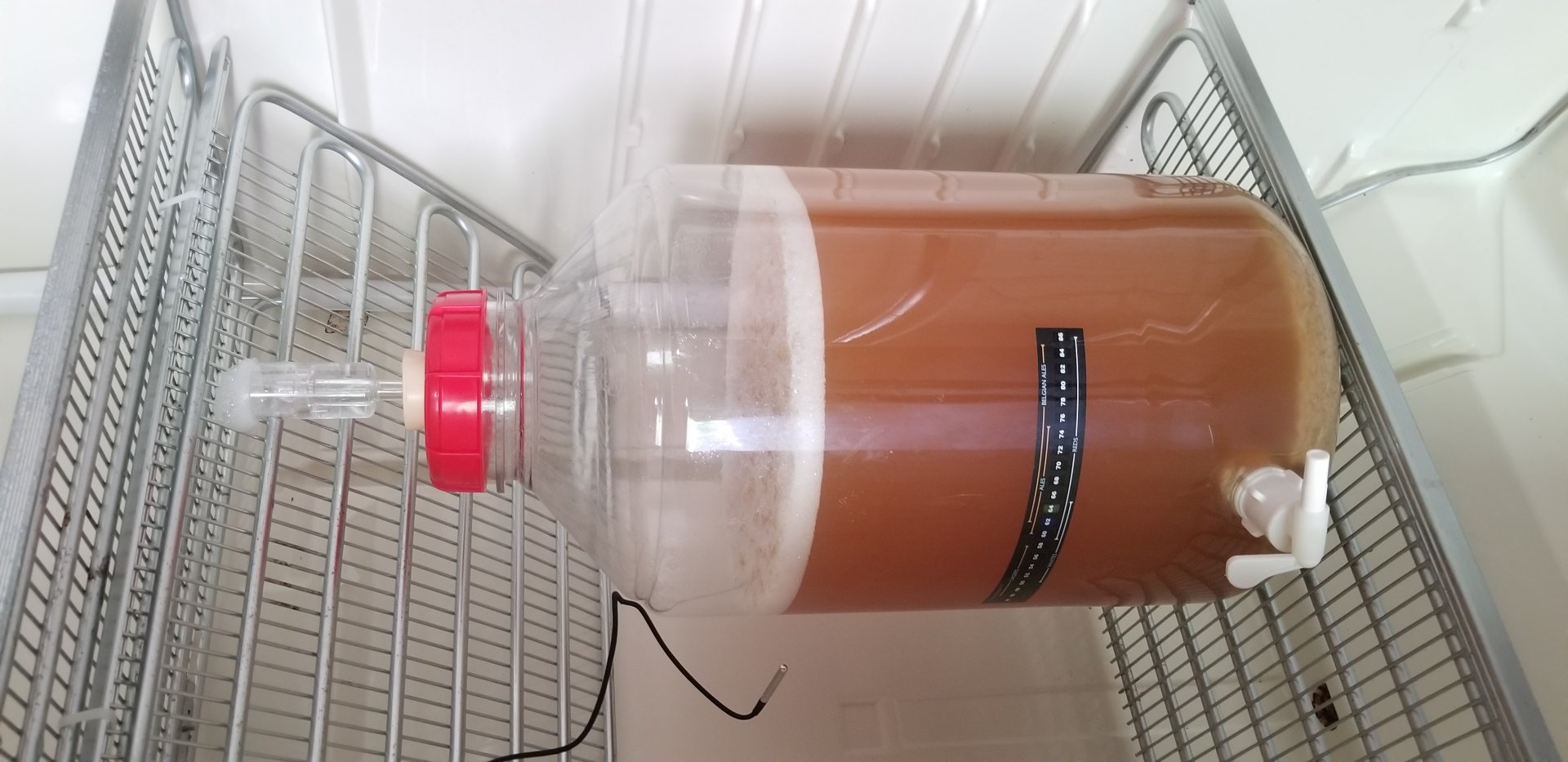 beer recipe photo