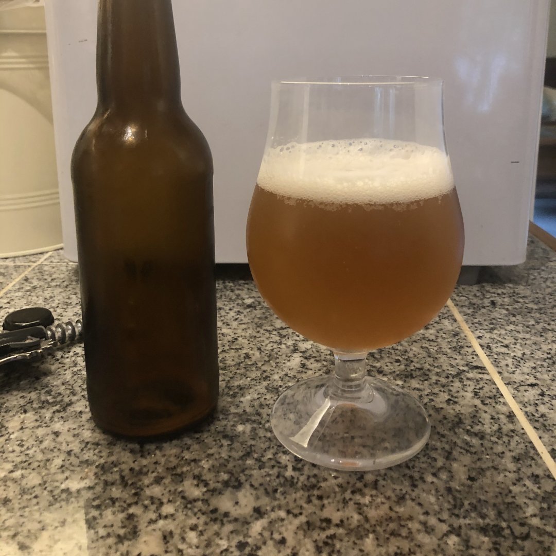 beer recipe photo